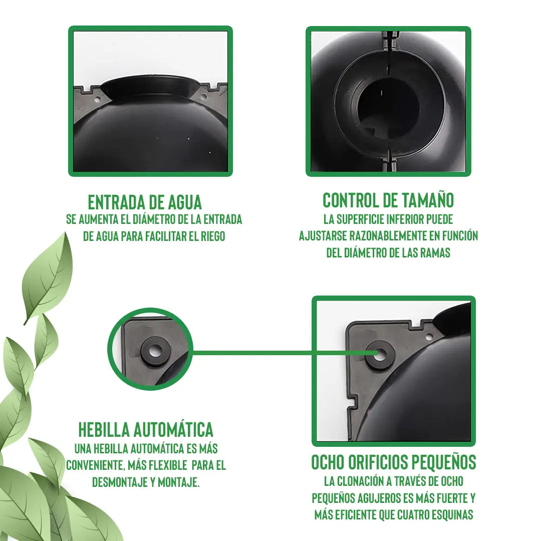 Encabezado