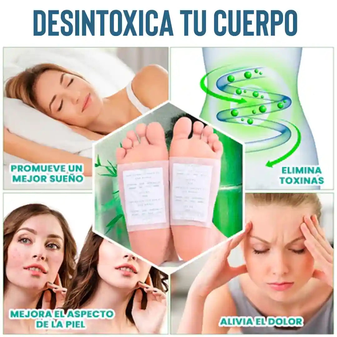 Encabezado