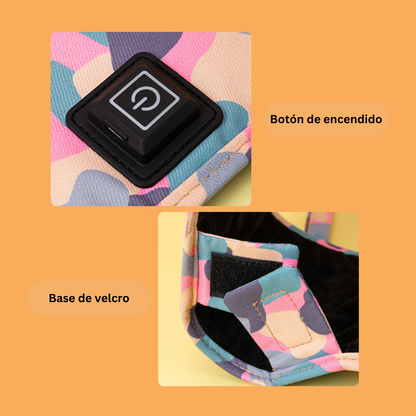 Calentador de Biberones