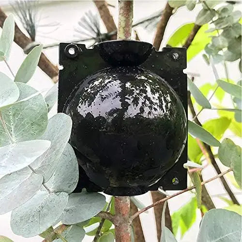 Clonador de Plantas (5 Unidades) + Guía Exclusiva para Clonar con Éxito