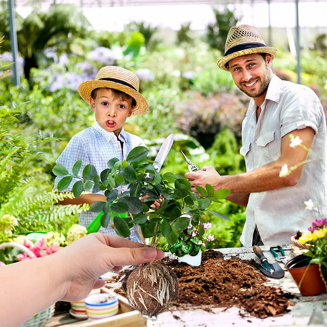 Clonador de Plantas (5 Unidades) + Guía Exclusiva para Clonar con Éxito
