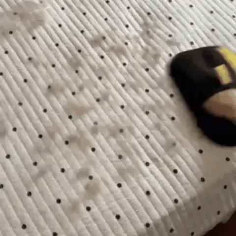 El Guante Más Rápido del 2025: Elimina Pelo y Pelusa al Instante "Promoción Solo Por 48H"