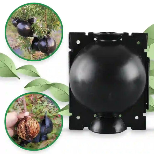 Clonador de Plantas (5 Unidades) + Guía Exclusiva para Clonar con Éxito