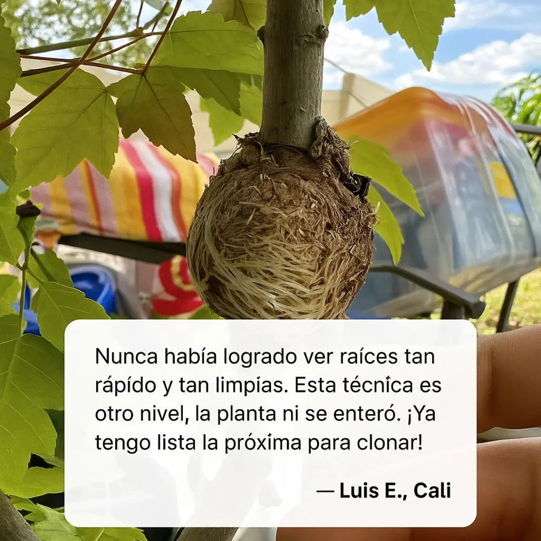 Clonador de Plantas (5 Unidades) + Guía Exclusiva para Clonar con Éxito