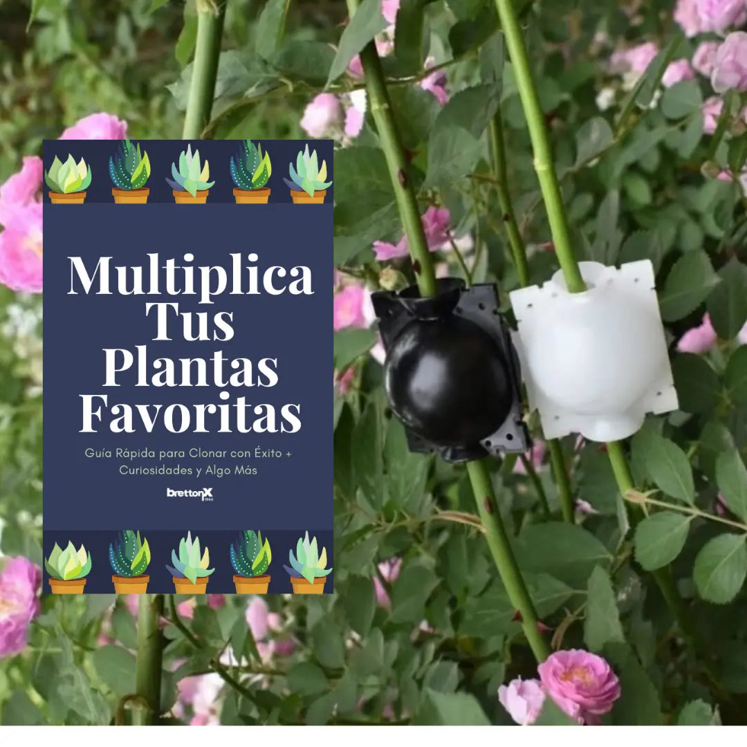 Clonador de Plantas (5 Unidades) + Guía Exclusiva para Clonar con Éxito
